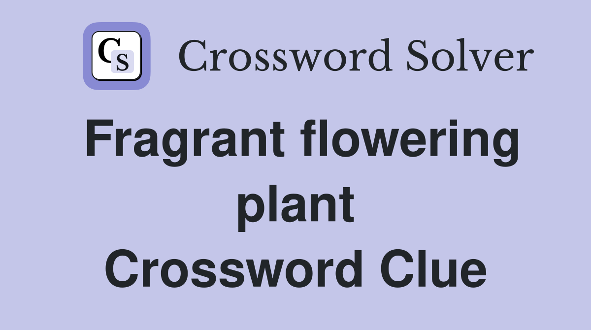 Fragrant flowering plant Crossword Clue Answers Crossword Solver